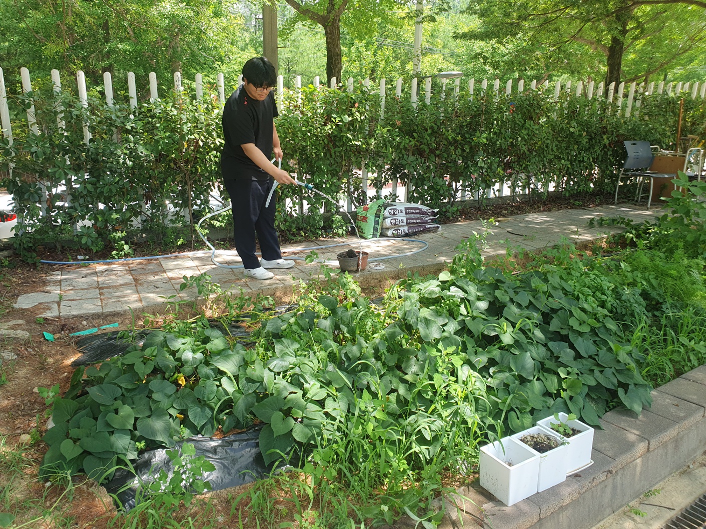 2025 생태환경교육_텃밭관리3